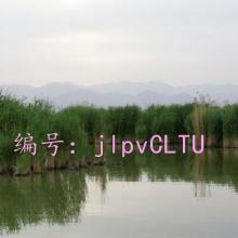 Ȼ